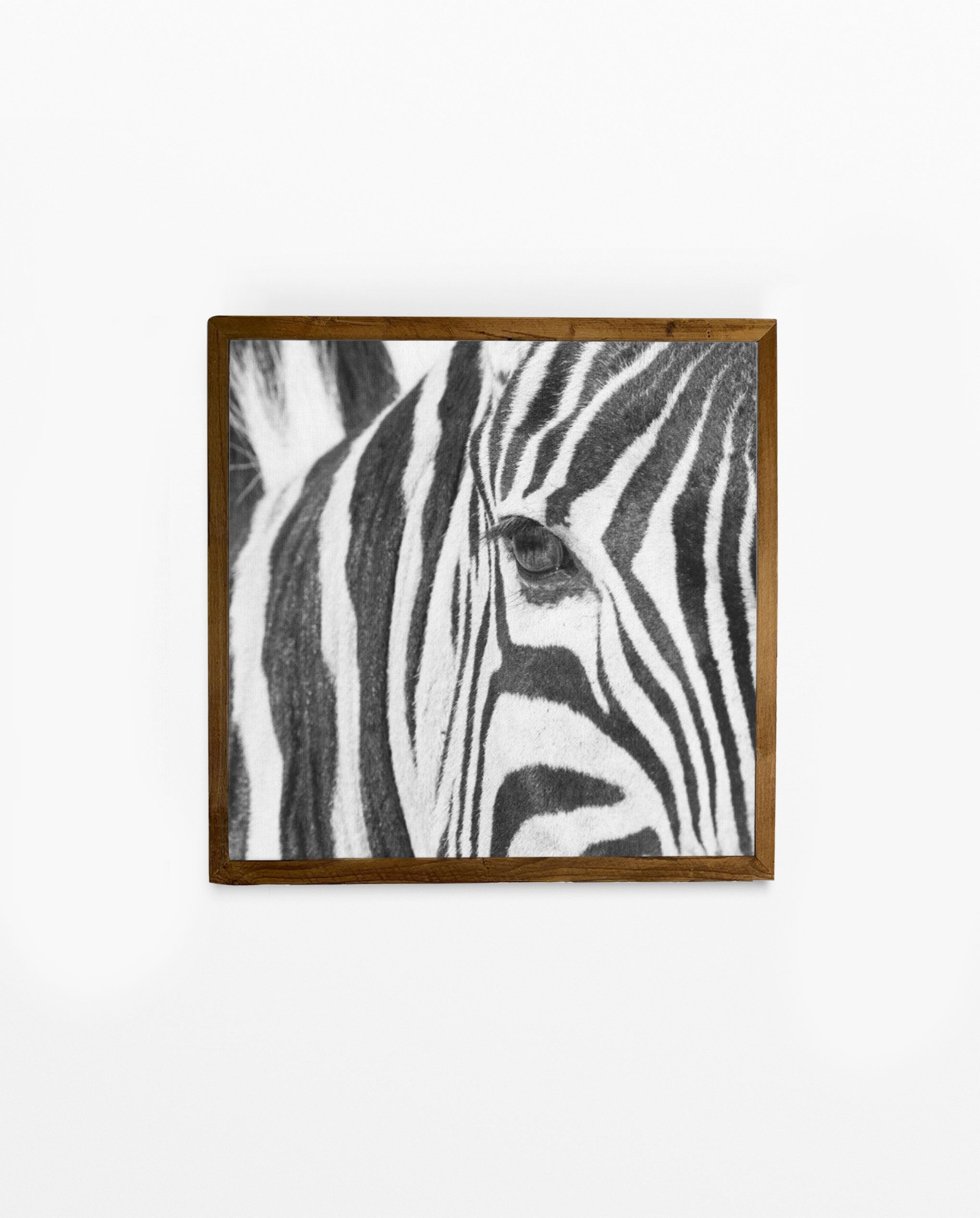 RDT_252 Richard Du Toit Print Zebra Eye