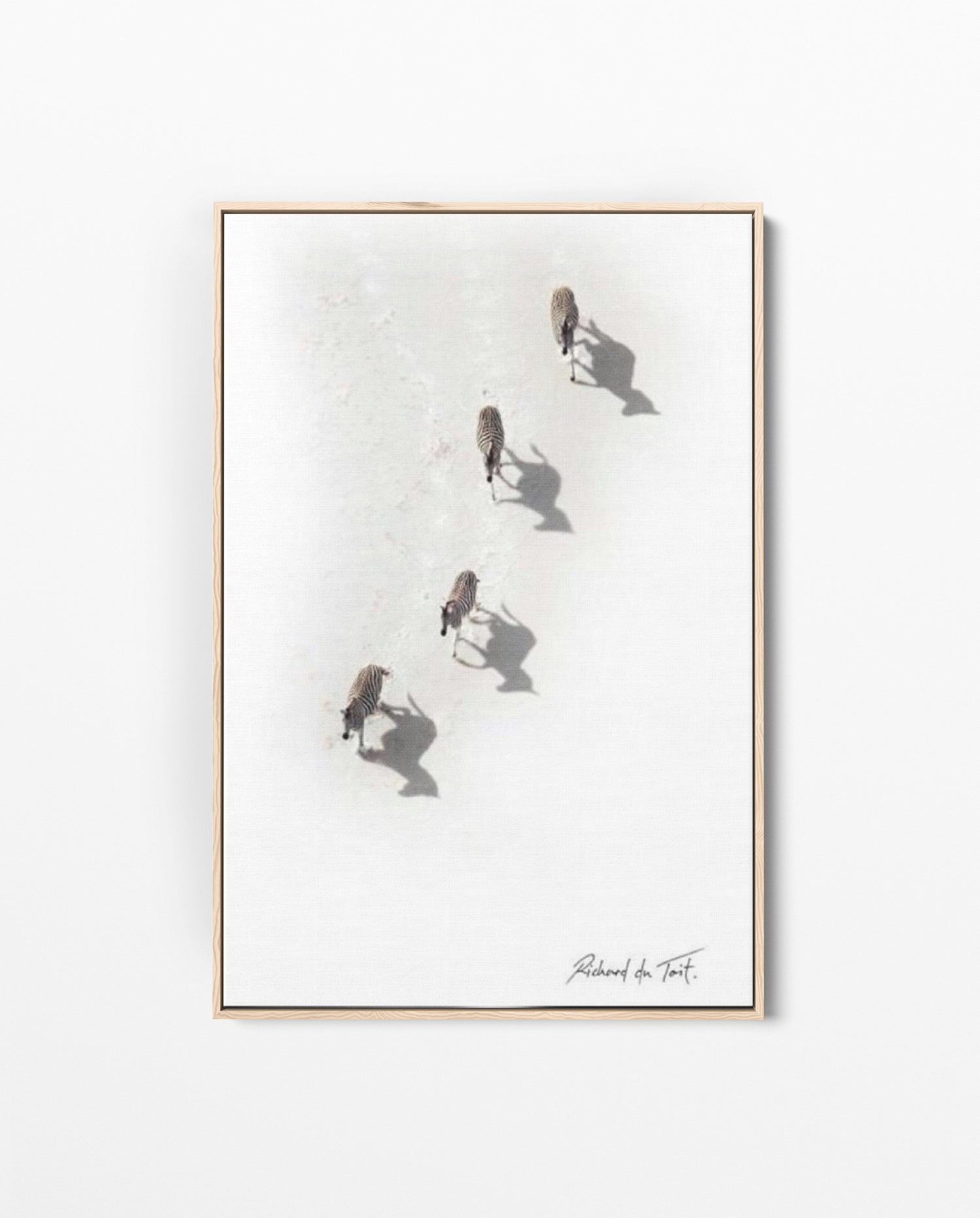 RDT_55 Richard Du Toit Print Zebra Aerial