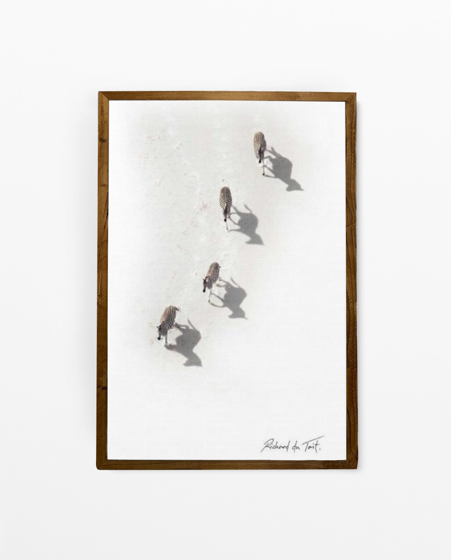 RDT_55 Richard Du Toit Print Zebra Aerial