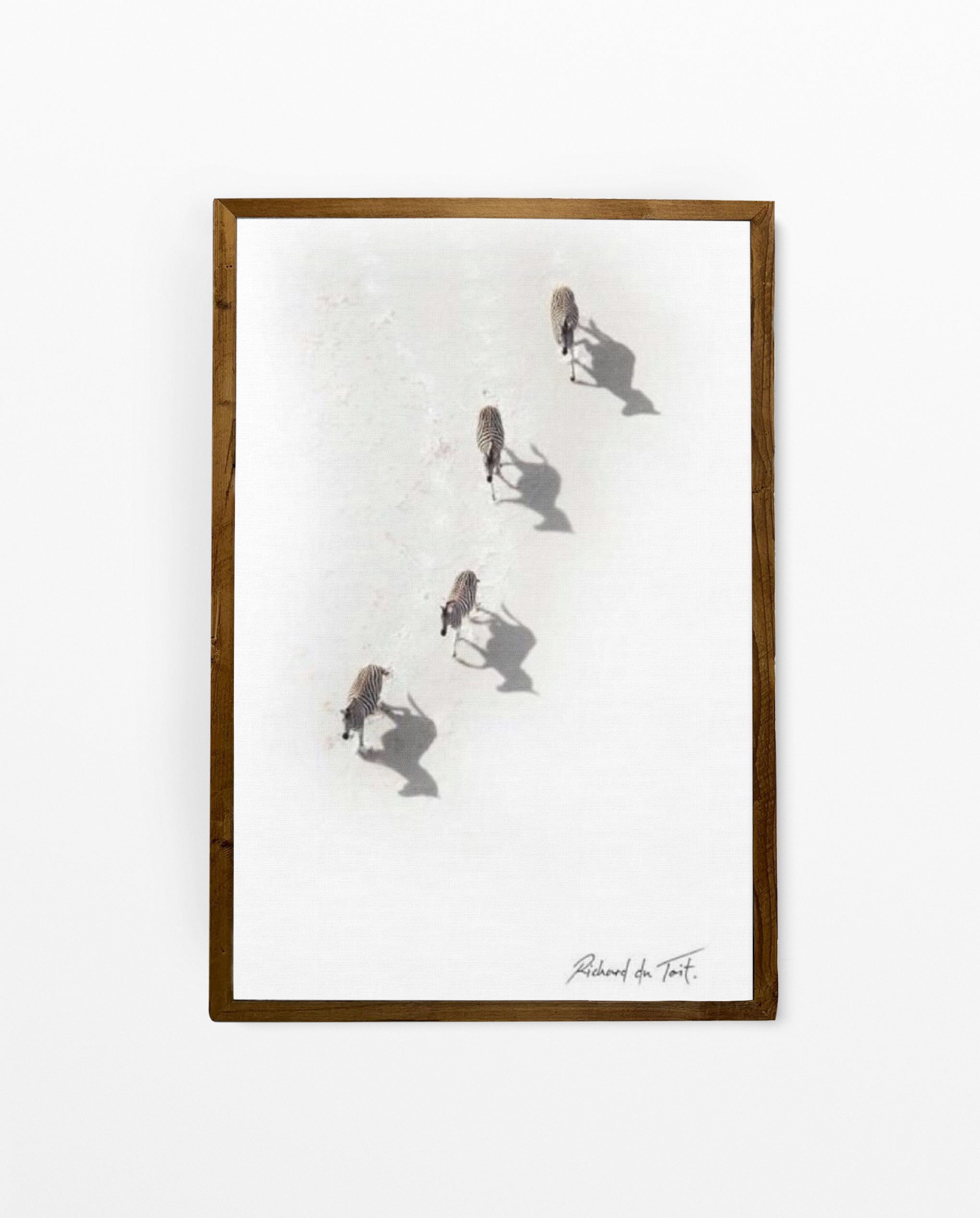 Richard Du Toit Print Wildlife RDT_55