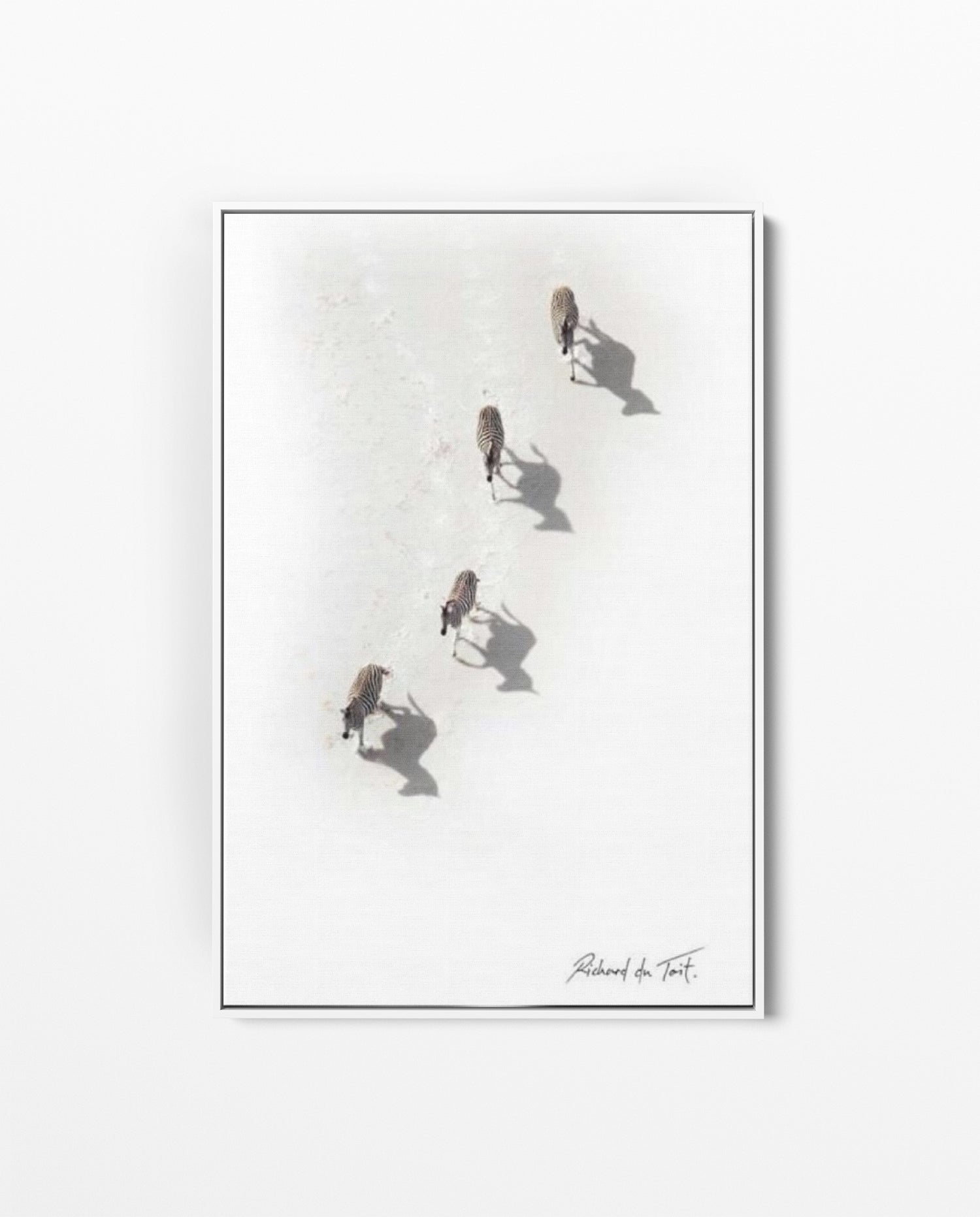 RDT_55 Richard Du Toit Print Zebra Aerial