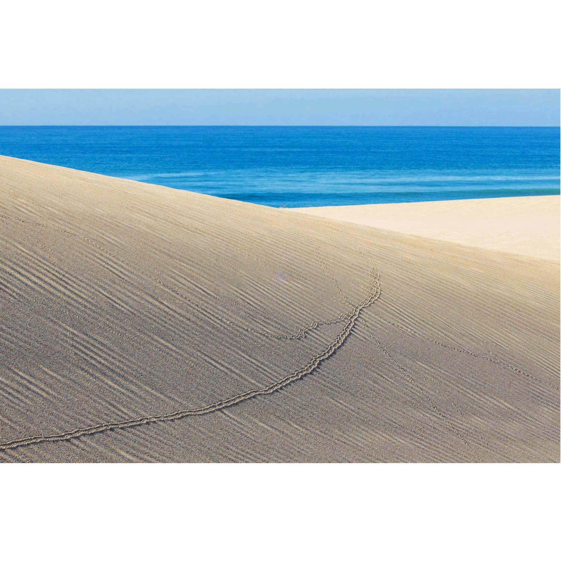 RDT_346 Richard Du Toit Print Tracks and Sea