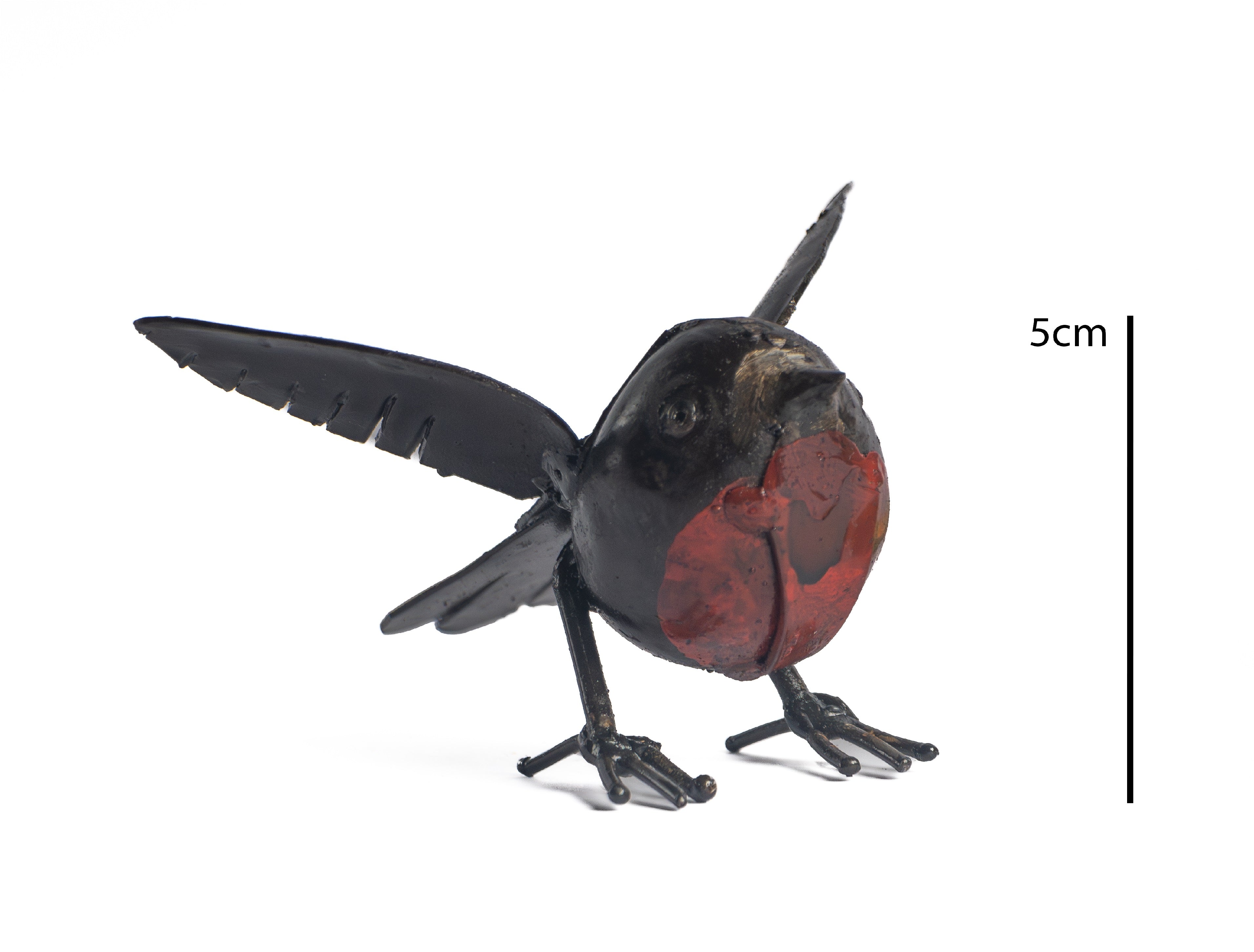 Robin