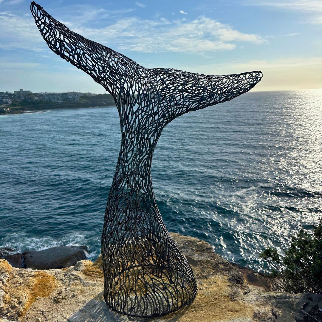 Whale Tail Metal