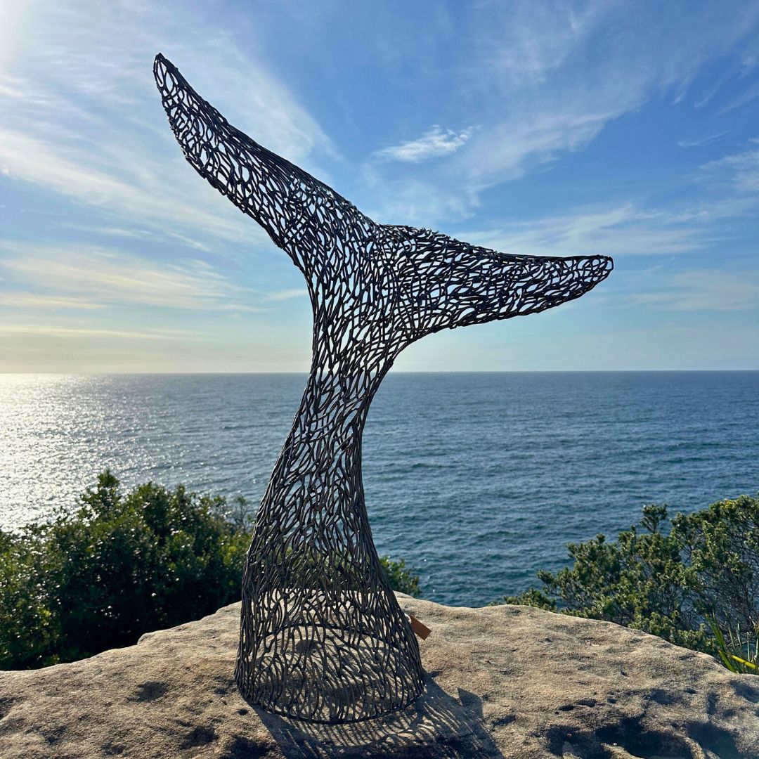 Whale Tail Metal