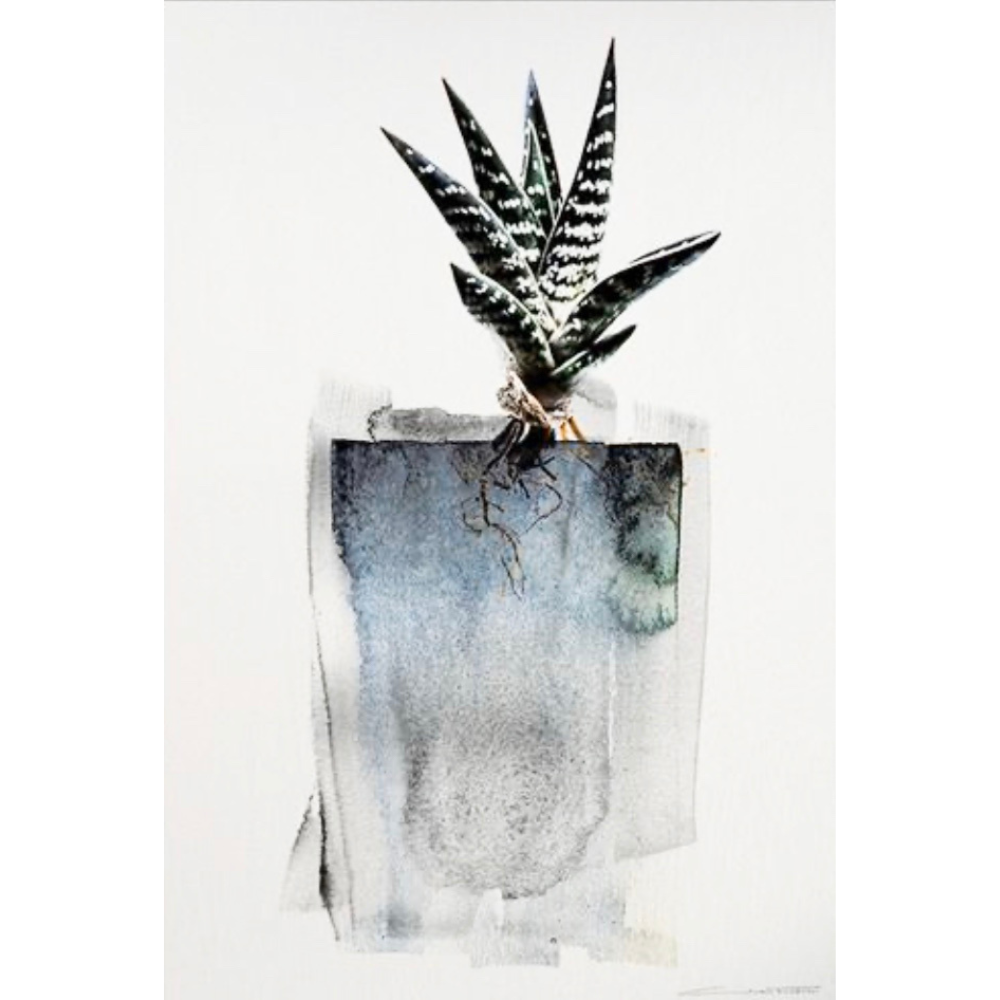 Clinton Friedman Print Flora Blue Aloe