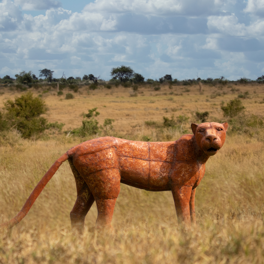 Lioness