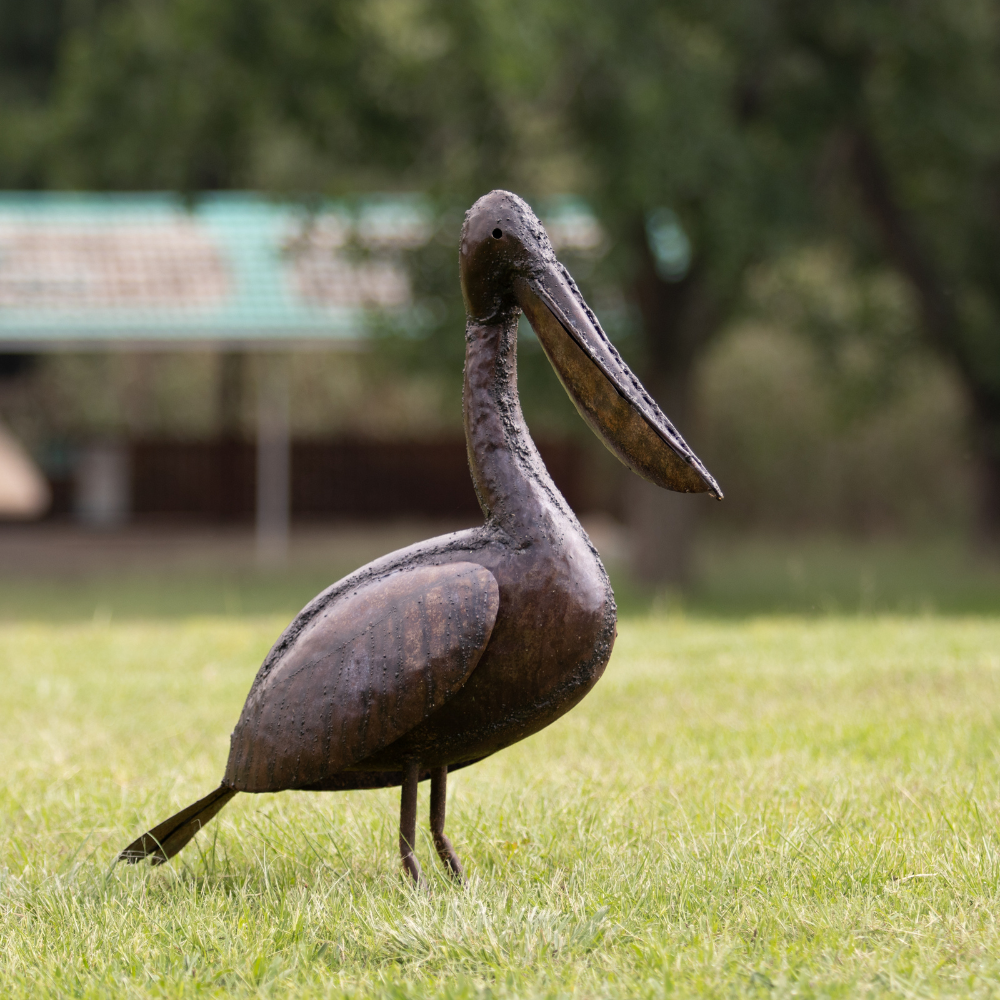 Pelican