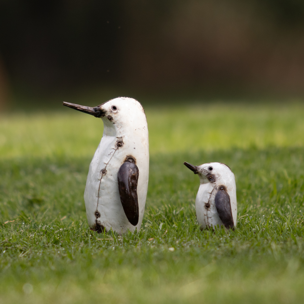 Penguins