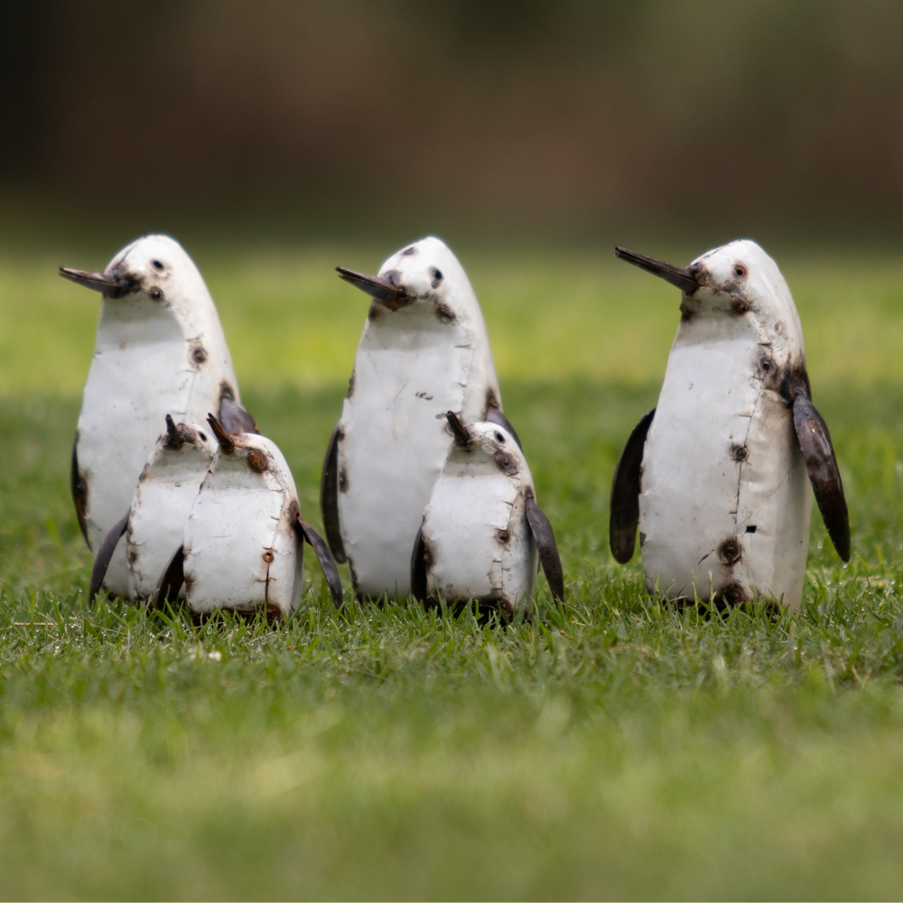 Penguins