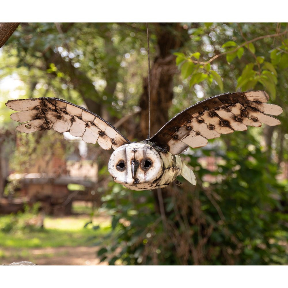 Owl White Flying