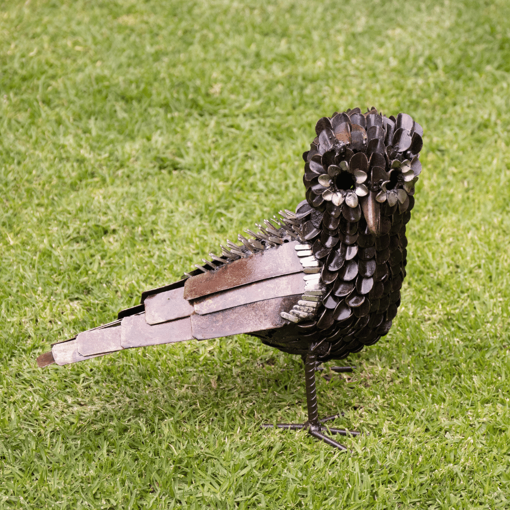 Owl Feathered