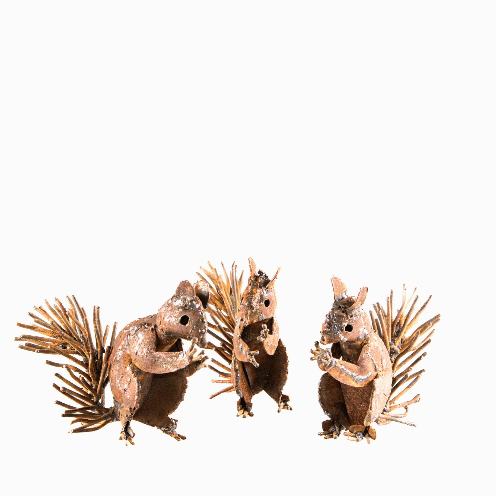 Squirrel
