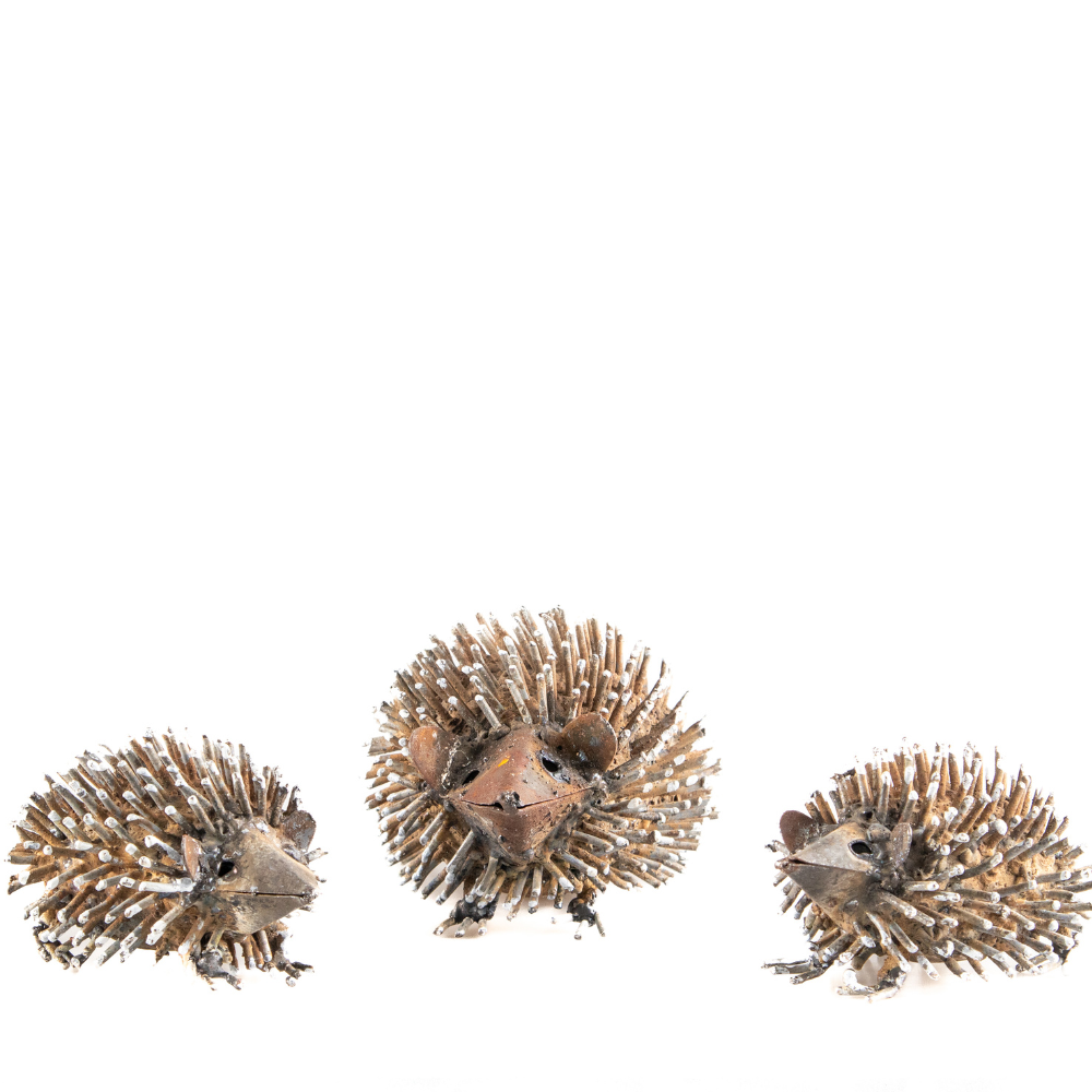 Echidna