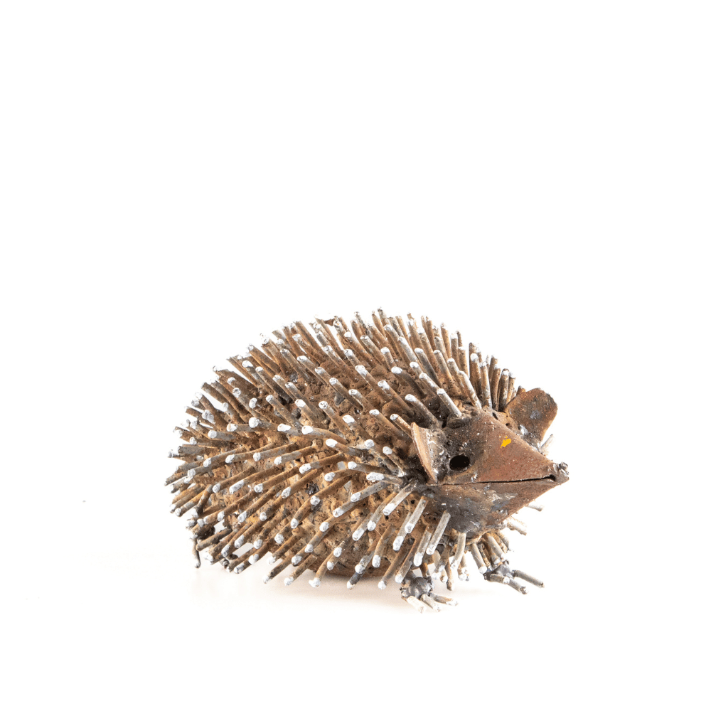 Echidna