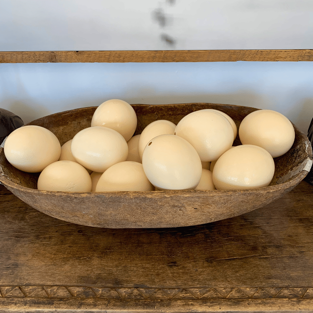 Ostrich Egg