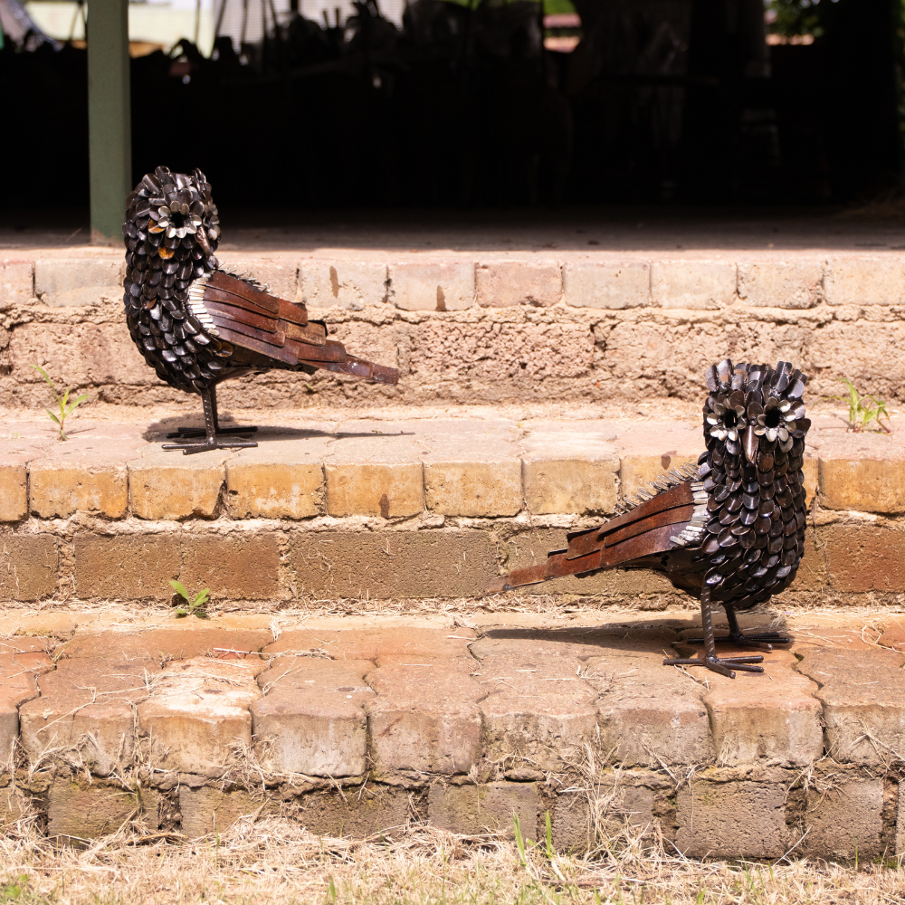 Owl Feathered