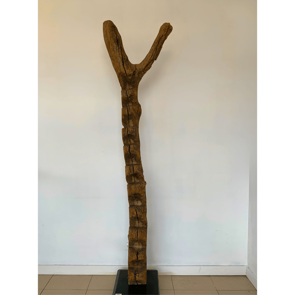 Dogon Ladder