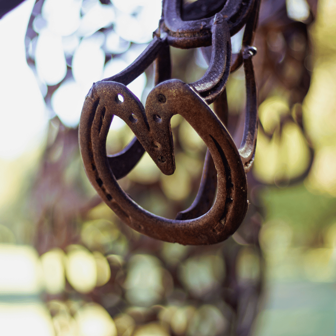 Rearing Horse Shoe Horse