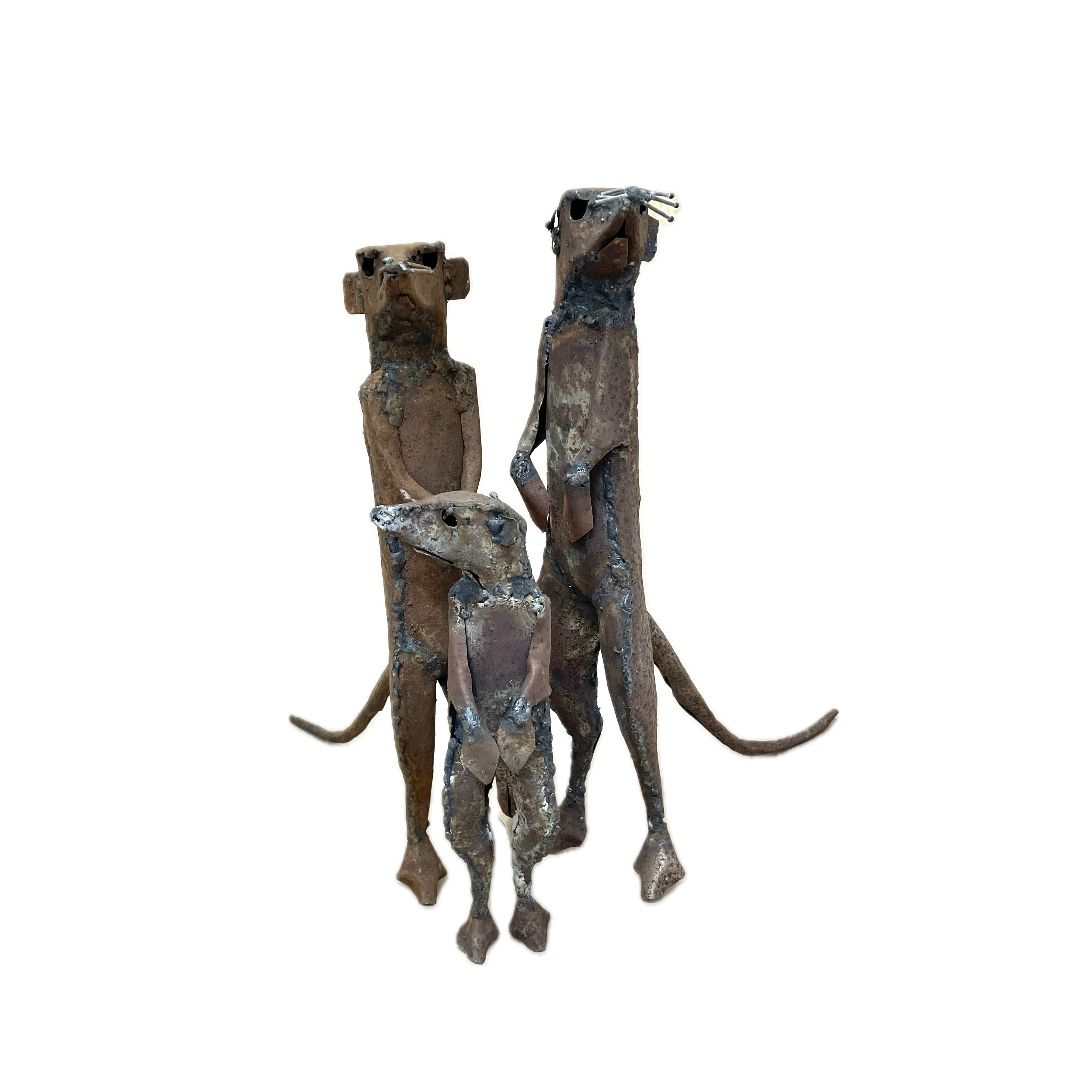 Meerkat