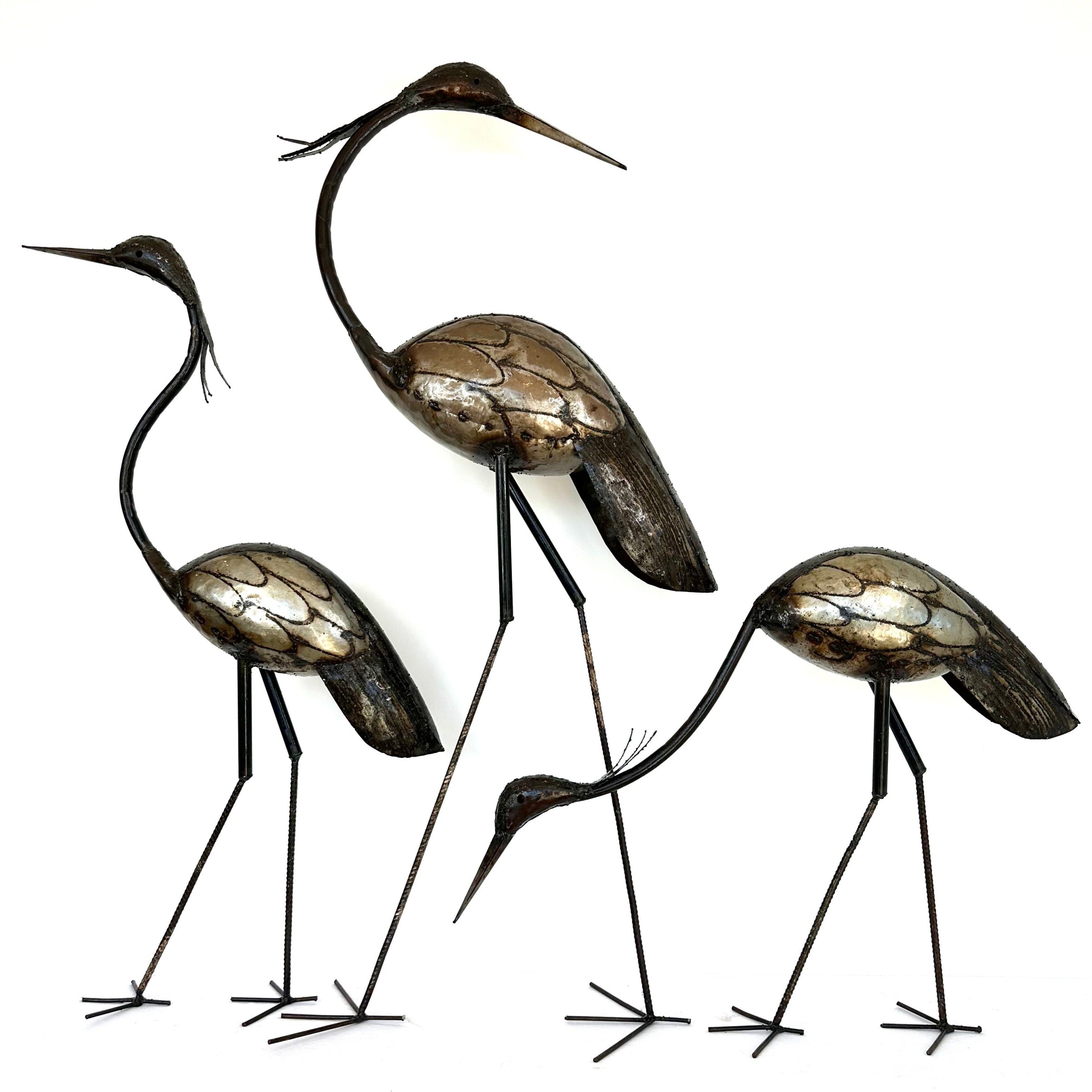 Heron