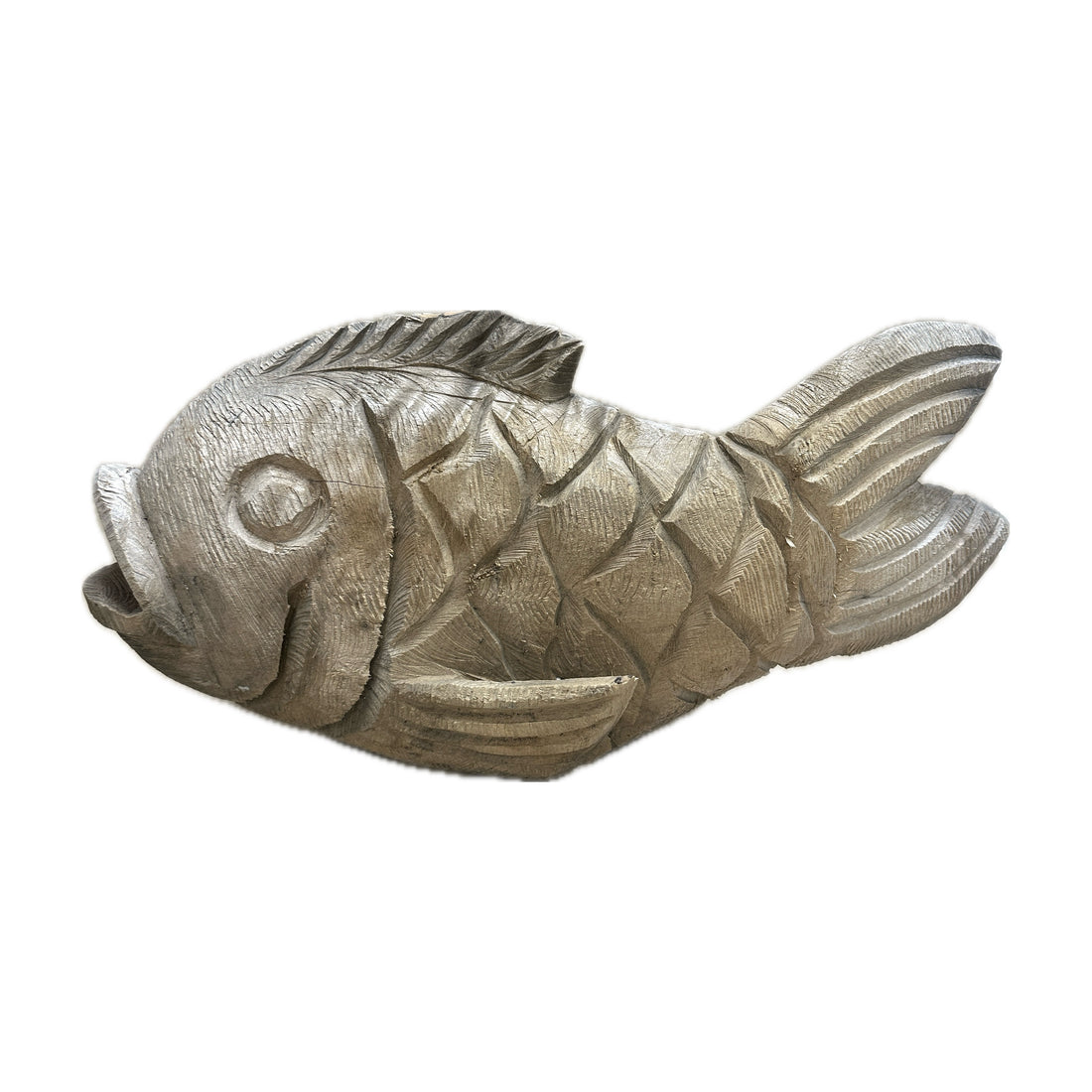 Swazi Fish