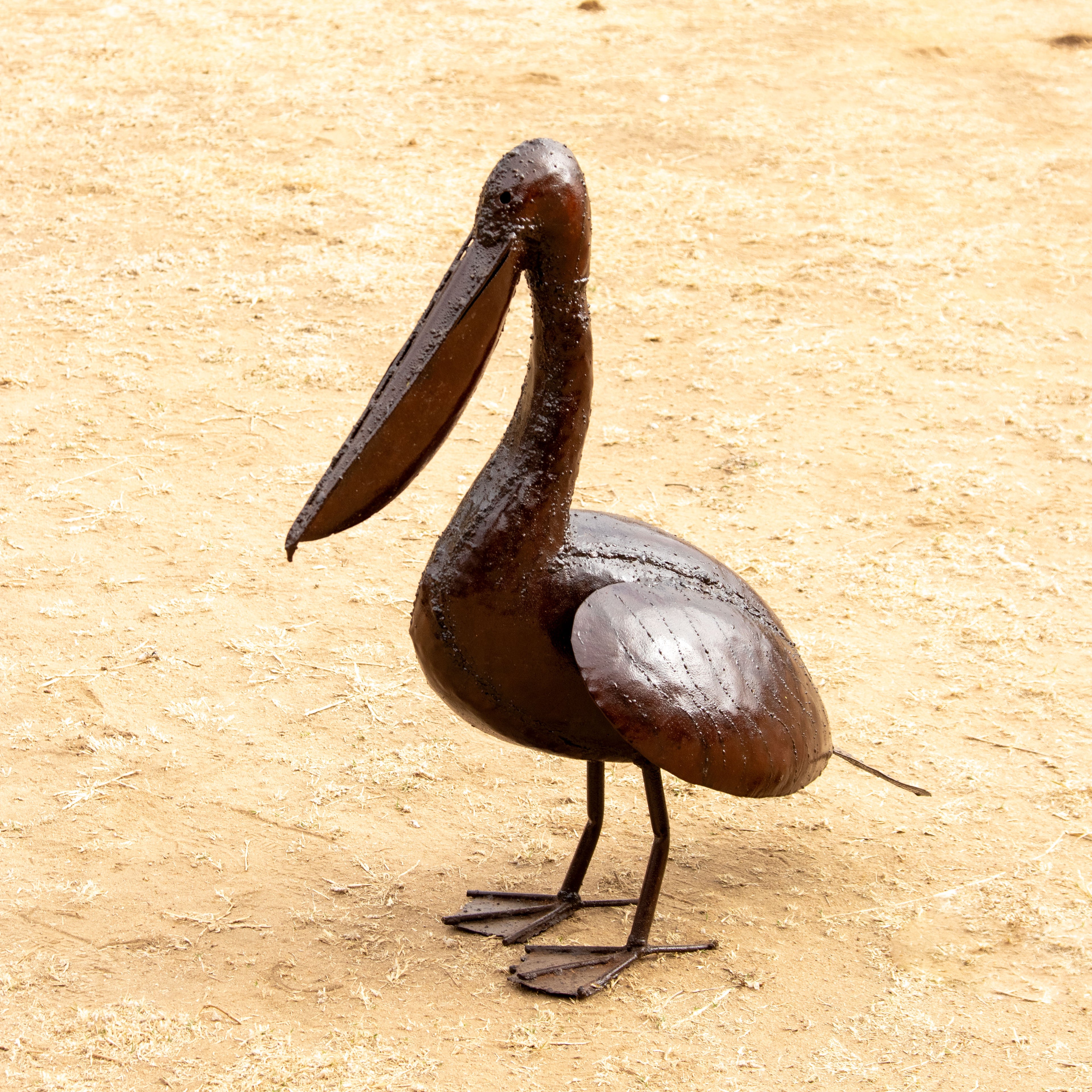 Pelican