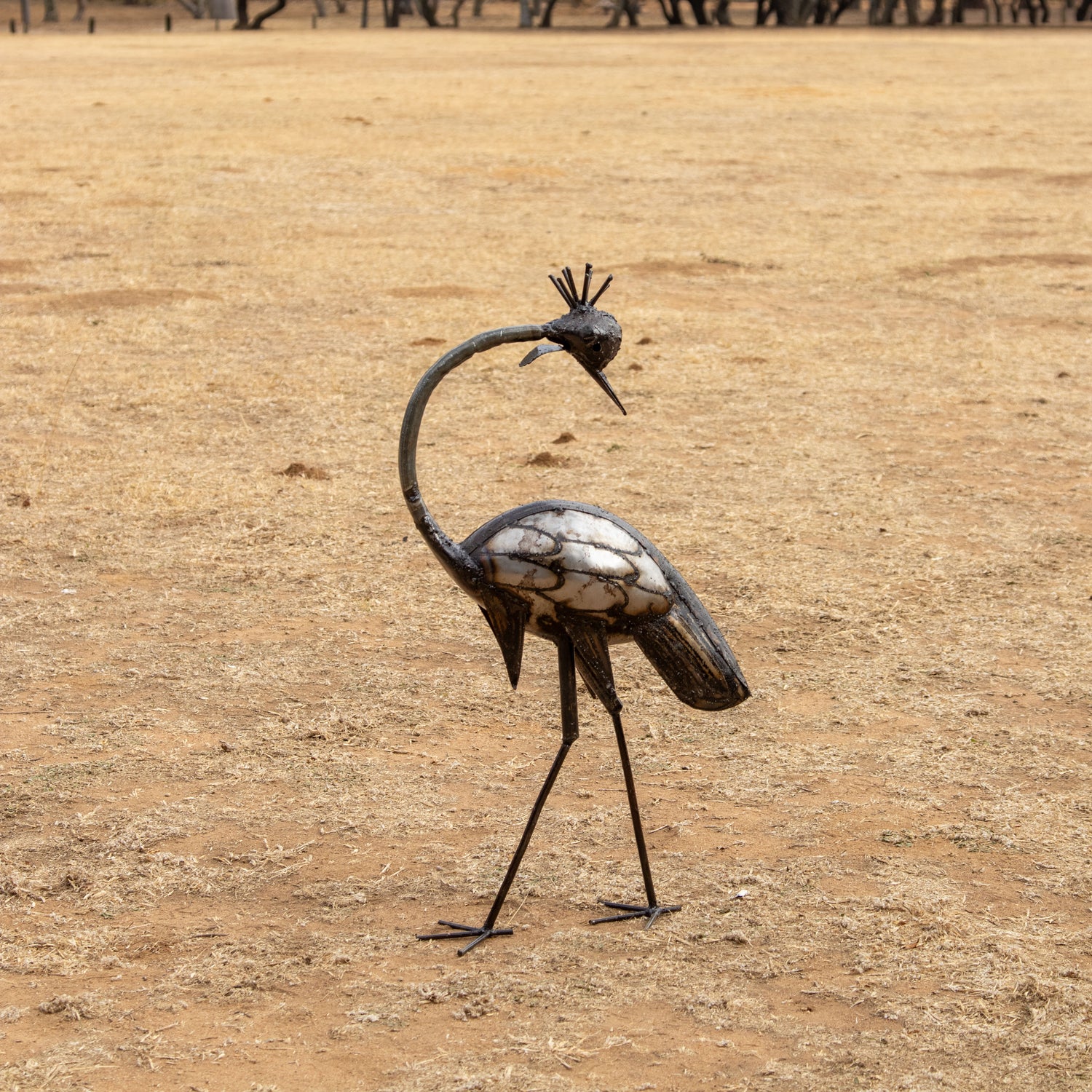 Crowned Crane