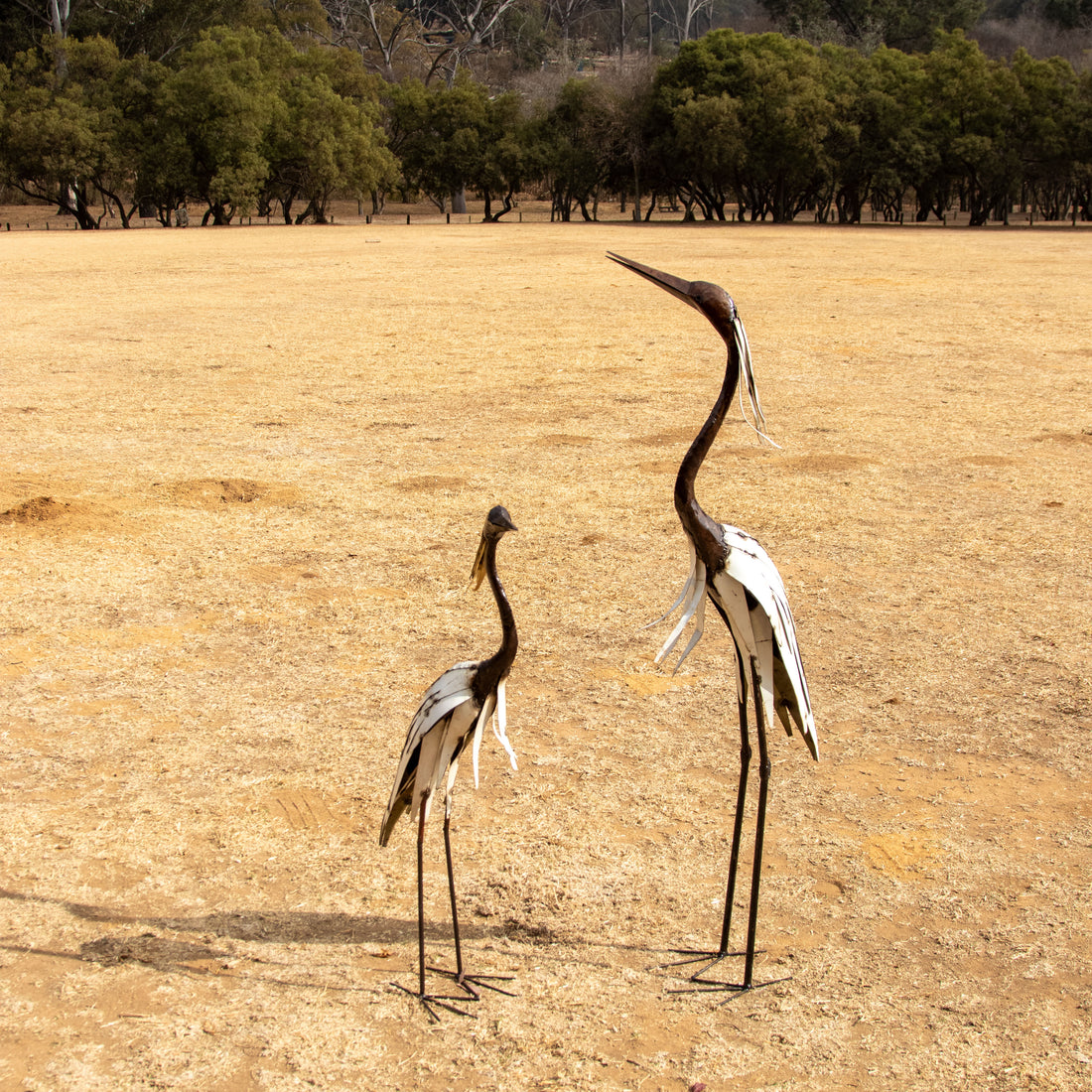 Heron White