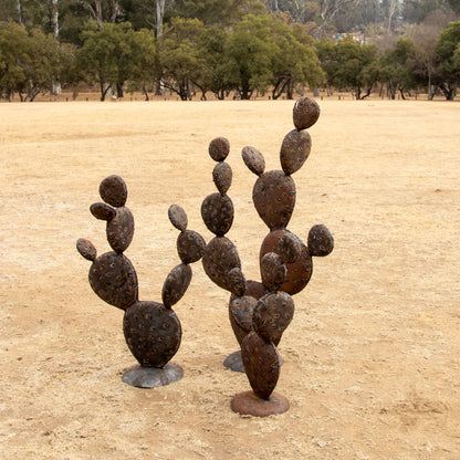 Prickly Pear Cactus