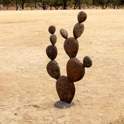 prickly pear metal cactus Prickly Pear Cactus – Africanologie