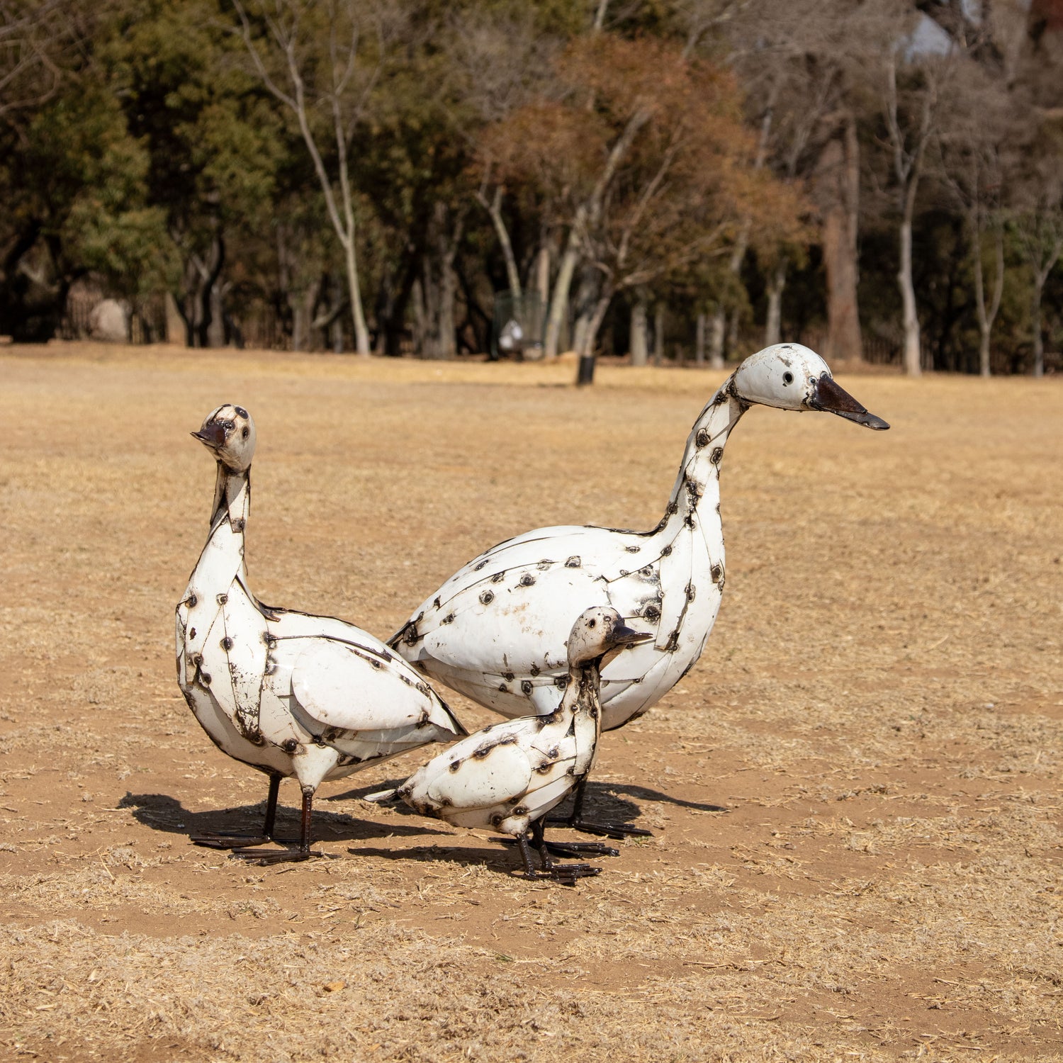 Goose / Geese