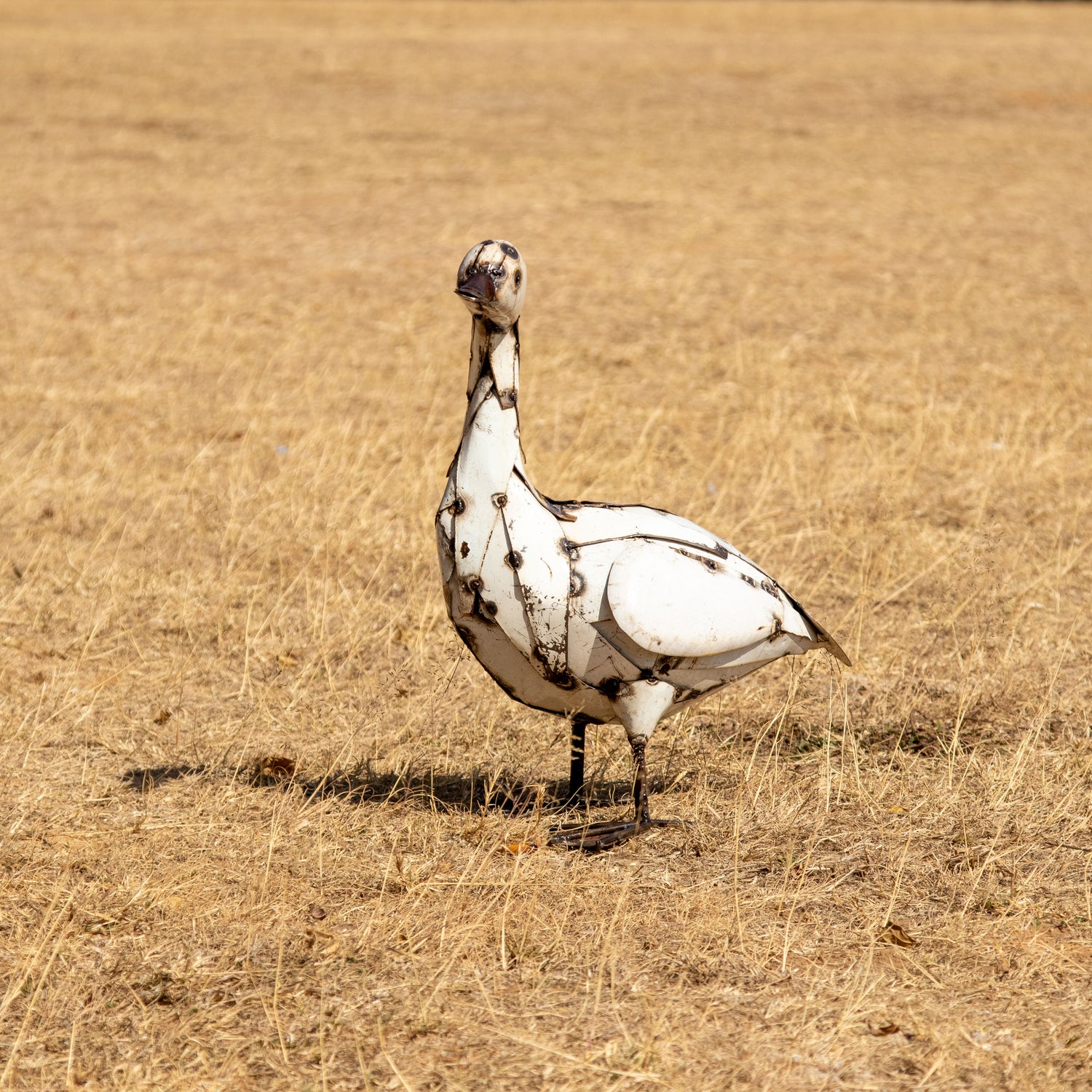 Goose / Geese