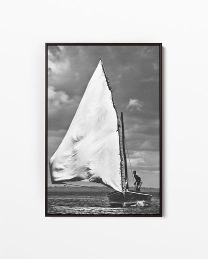 David Ballam Print Coastal ILHA_04