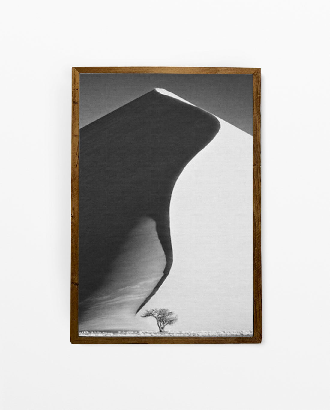 NAM_01 David Ballam Print Dune and Tree
