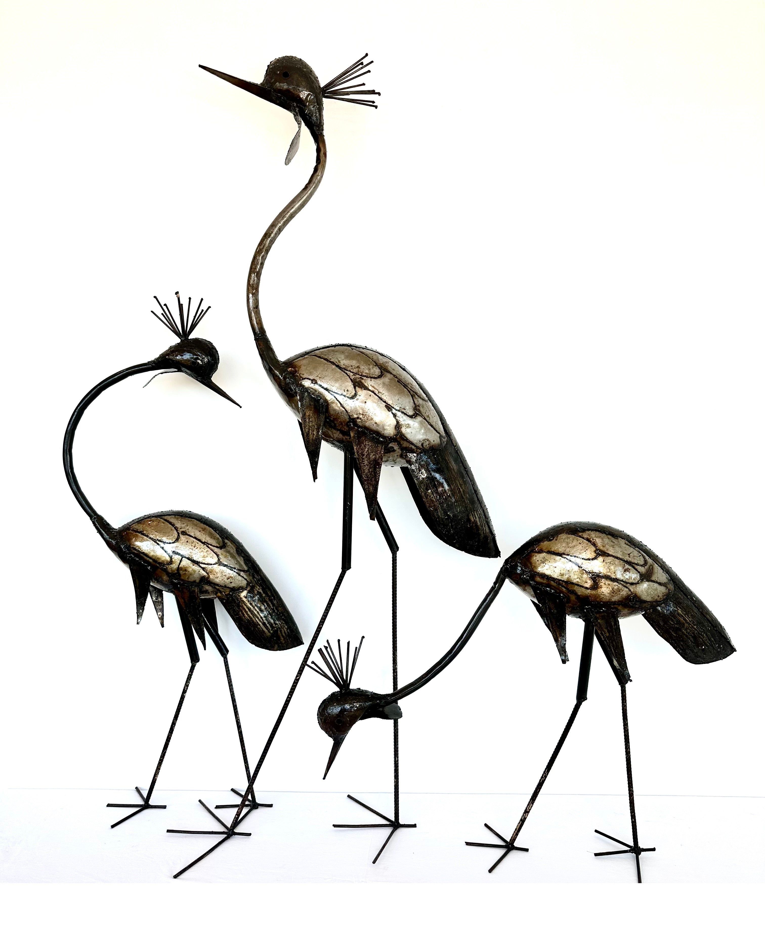 Crowned Crane