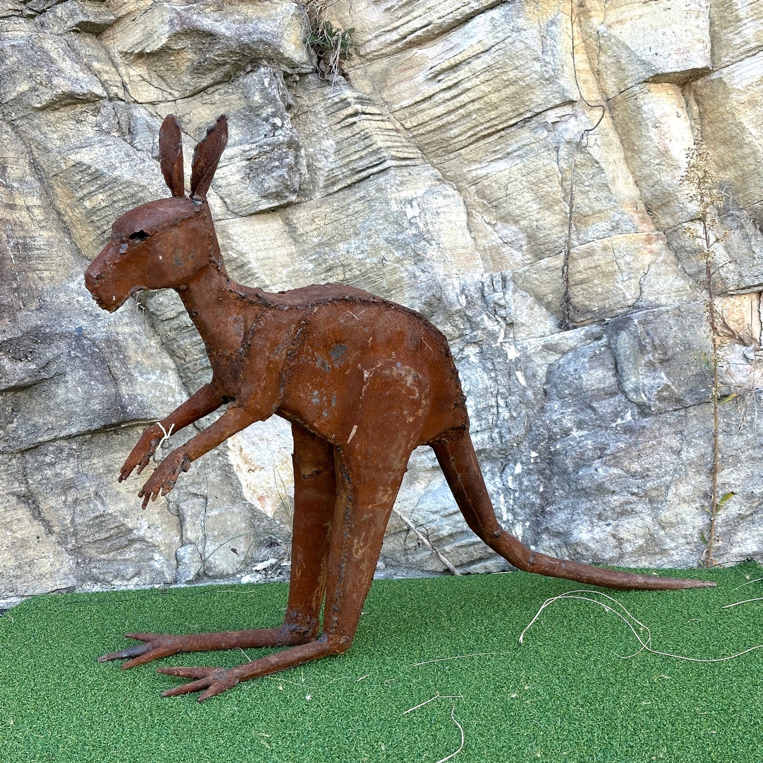 Kangaroo