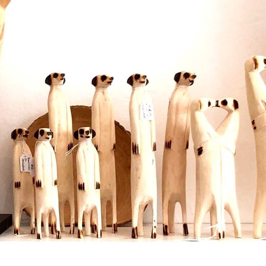 Meerkat