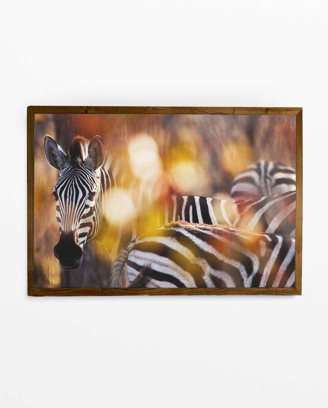 RDT_175 Richard Du Toit Print Zebra Colour
