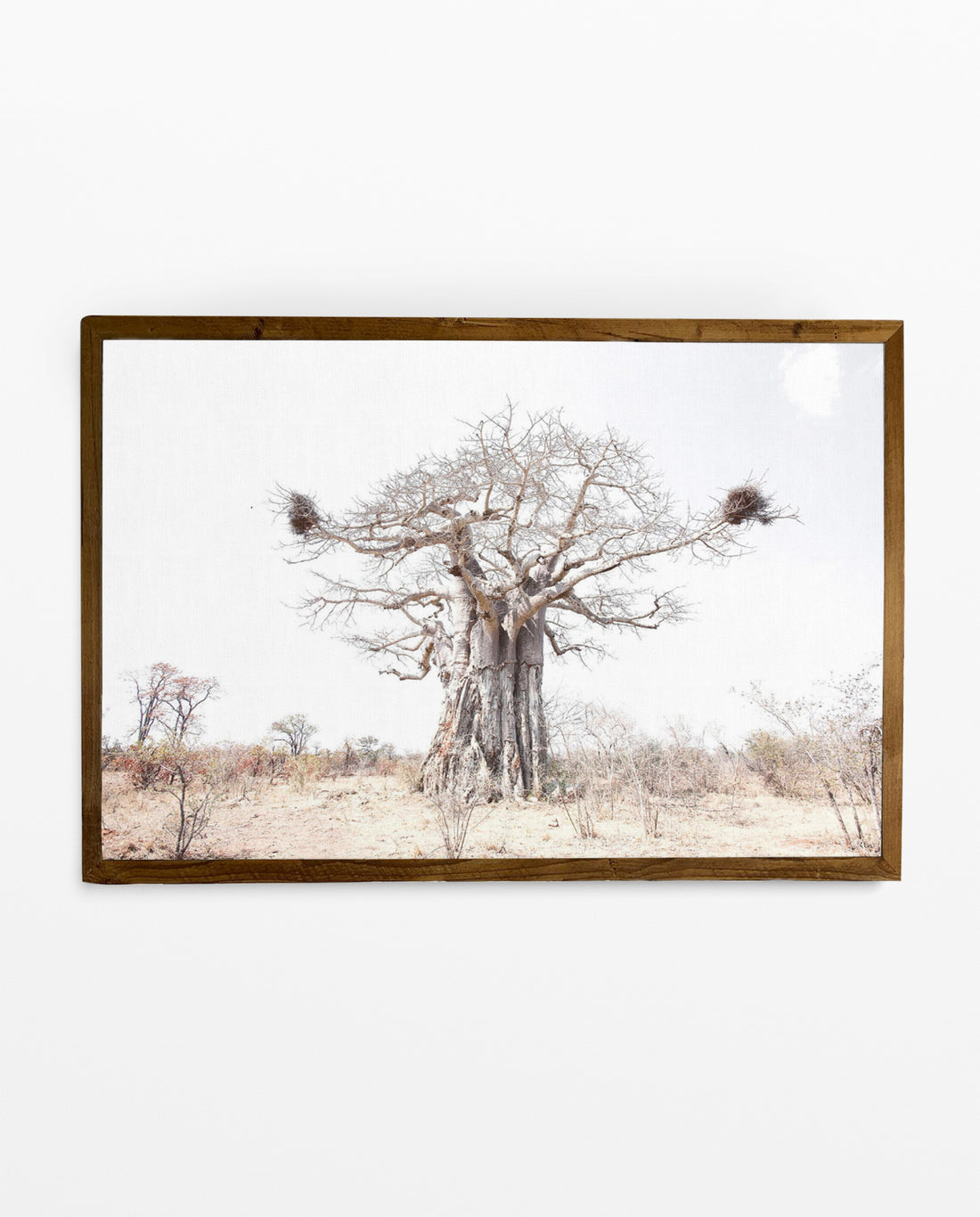 RDT_183 Richard Du Toit Print Baobab with Nests