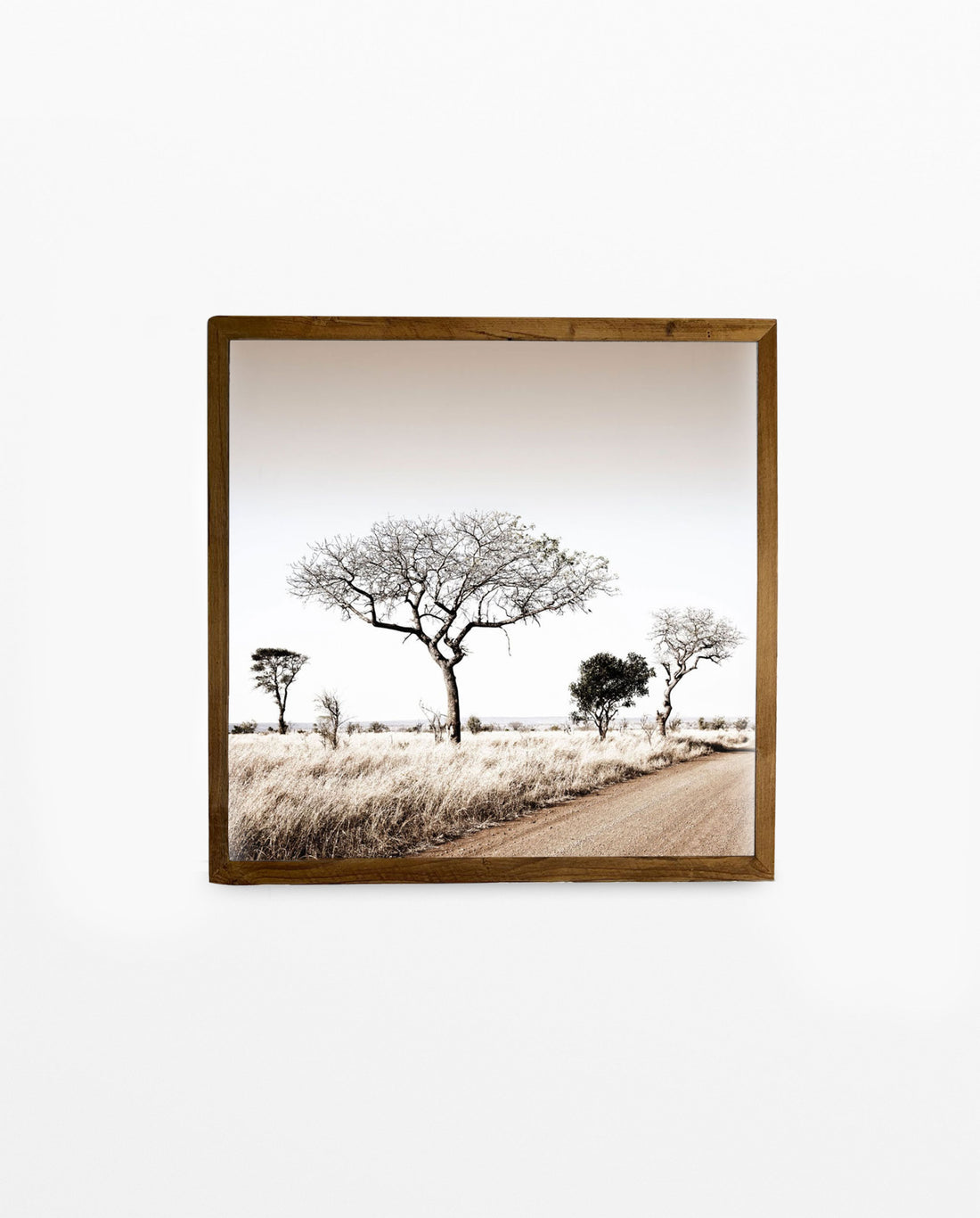 RDT_448 Richard Du Toit Print Thorn Trees