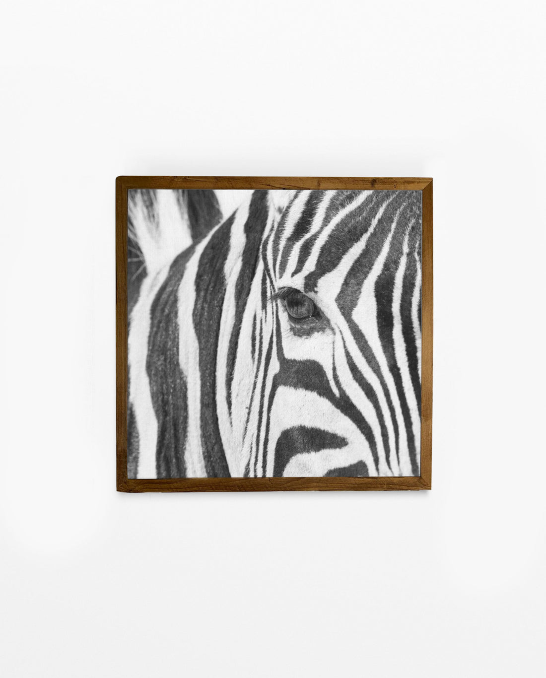 RDT_252 Richard Du Toit Print Zebra Eye