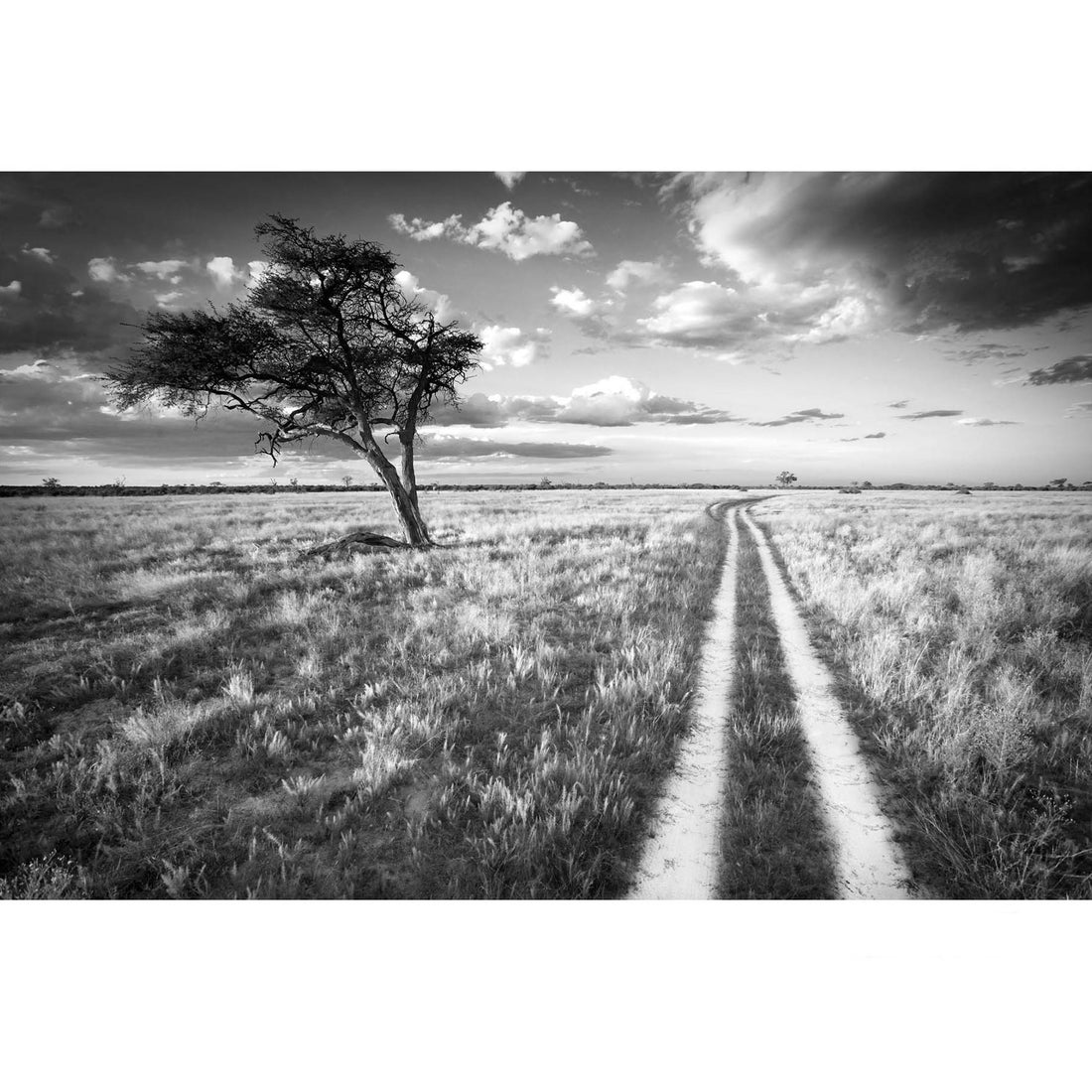 RDT_100 Richard Du Toit Print Road to Nowhere