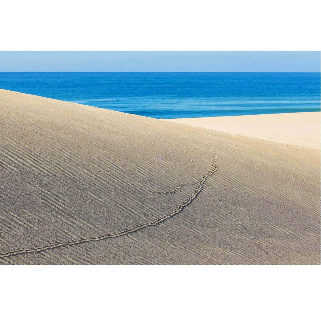 RDT_346 Richard Du Toit Print Tracks and Sea