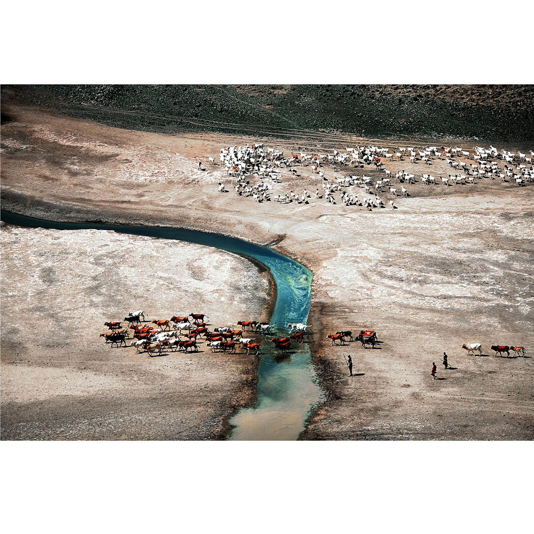 RDT_82 Richard Du Toit Print River Crossing
