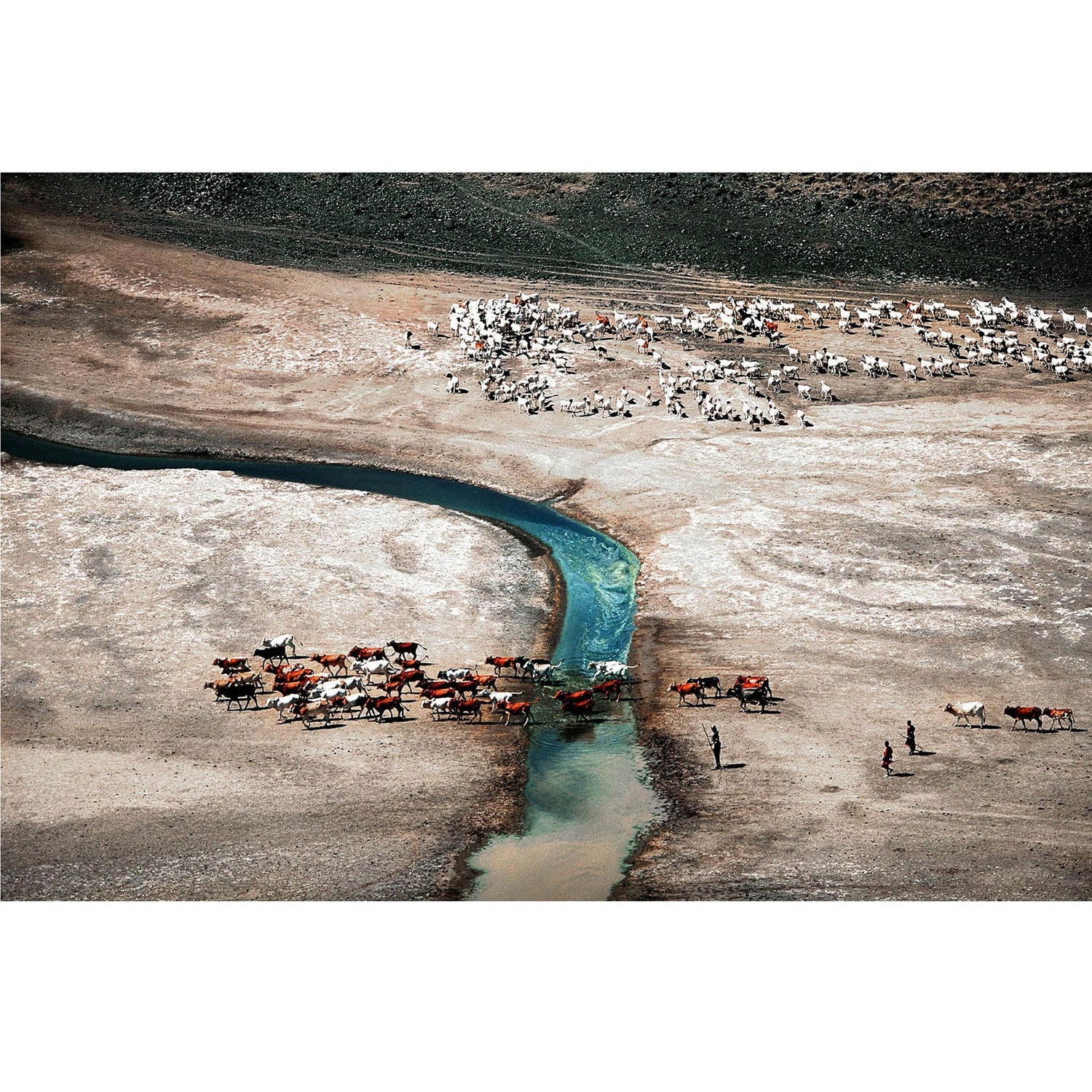 RDT_82 Richard Du Toit Print River Crossing