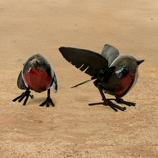 Robin – Africanologie