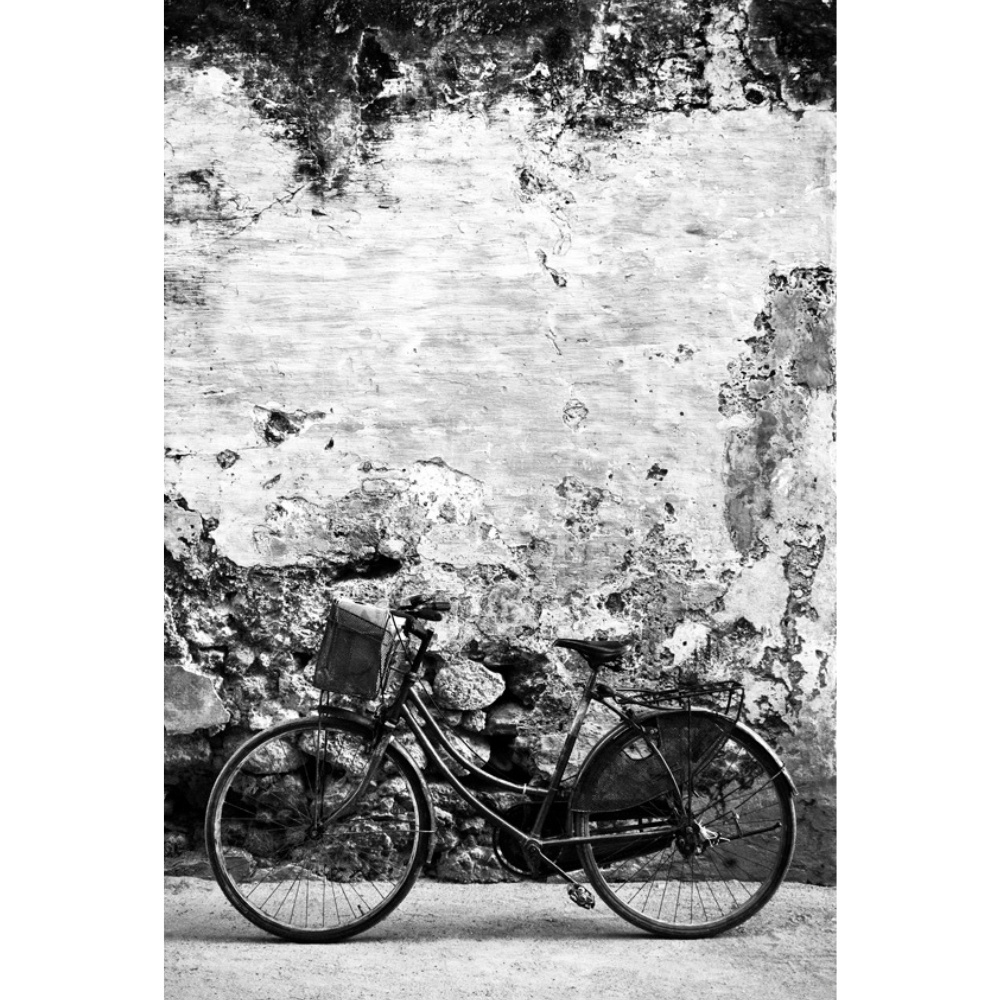 ILHA_21 David Ballam Print Bicycle