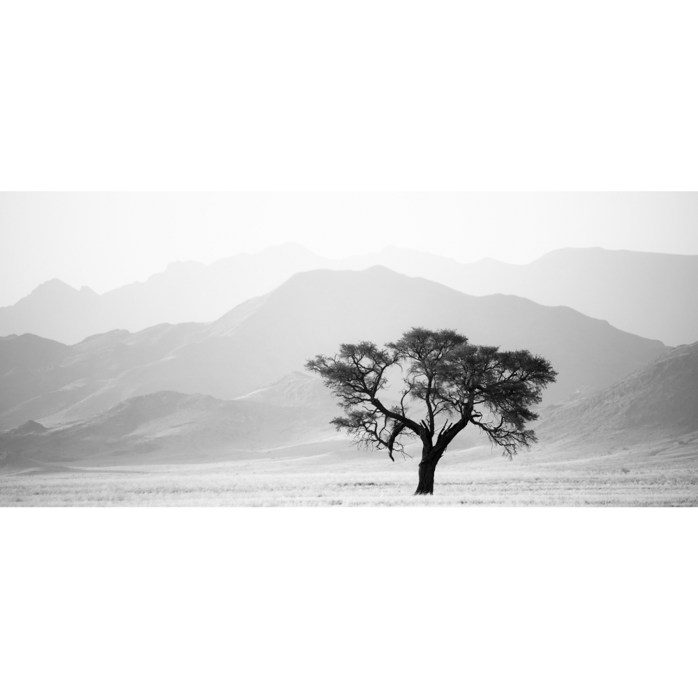 Wim Van de Heever Print Flora  "Tree"