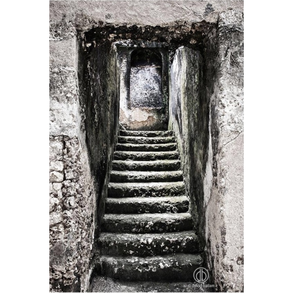 ZAN_12 David Ballam Print Stairway